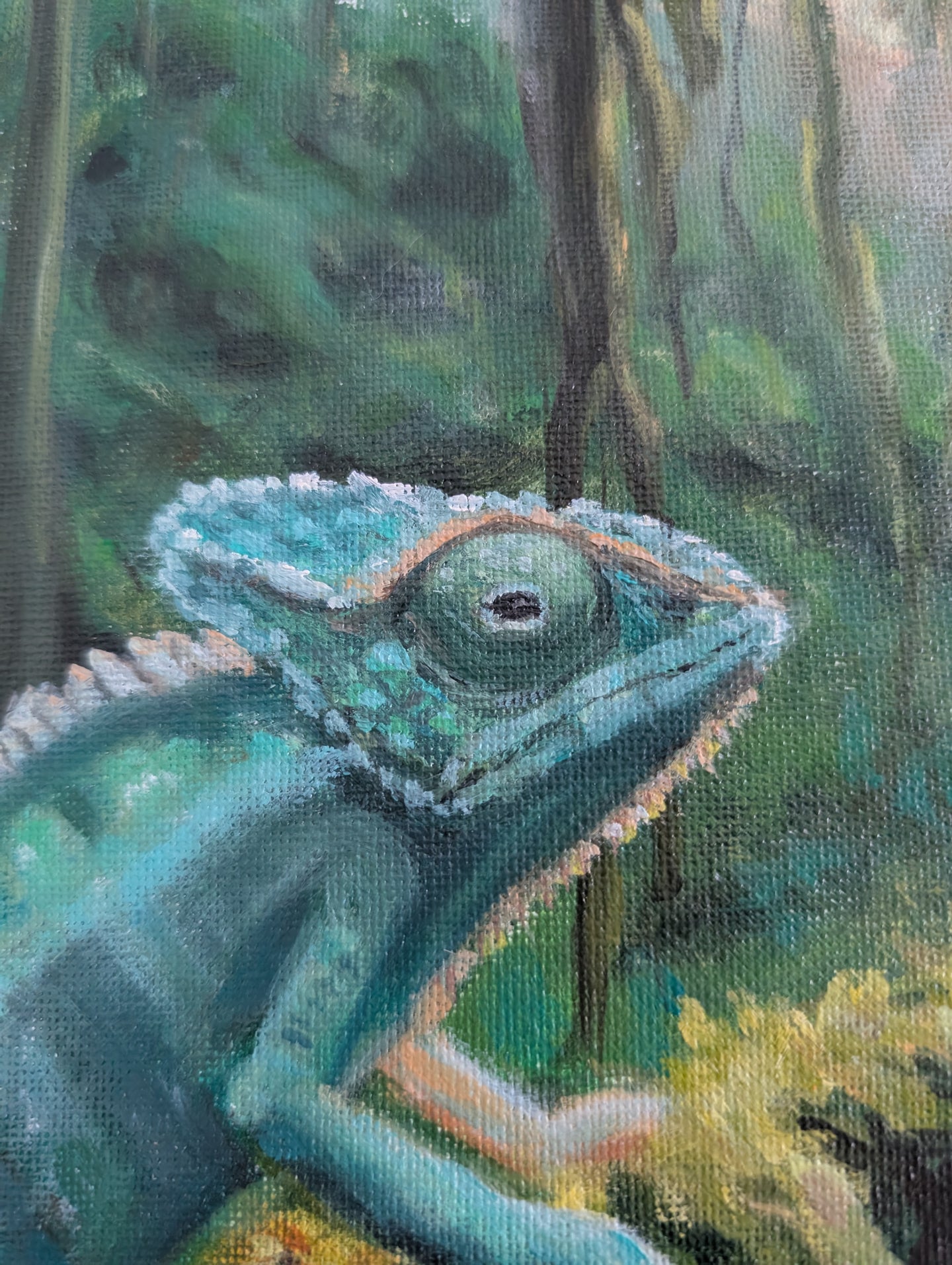 Explore
